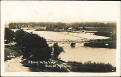 Scene on the Loup River Bridge Postcard