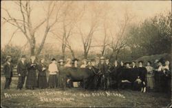 Agricultural Class Judging Cattle, Peru State Normal Postcard