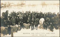 Western Iowa Agricultural Short Course, Avoca, Iowa 1910 Postcard
