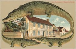 Alligator Border S550 Vedder Museum Postcard Postcard