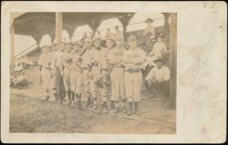 Cubs Baseball Team with Identified Players Postcard