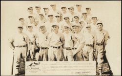 St. Louis Cardinals Baseball Team Portrait Postcard