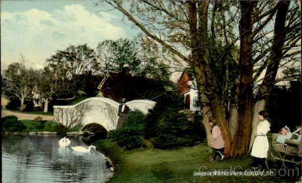 Bridge In White's Park Concord New Hampshire