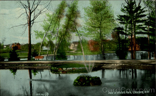 View In White's Park Concord New Hampshire