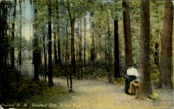 Woodland Path, Rollins Park Concord New Hampshire