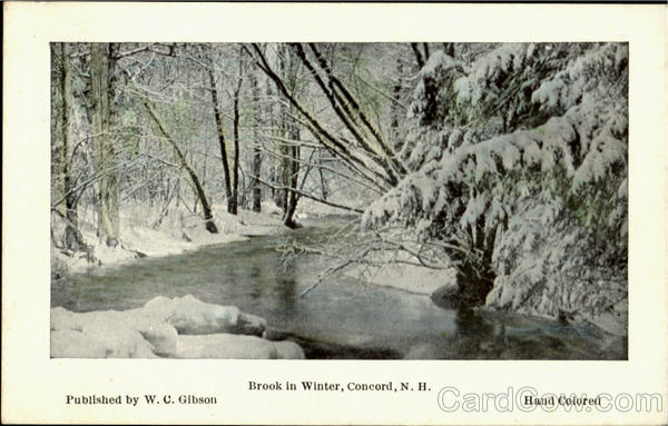Brook In Winter Concord New Hampshire