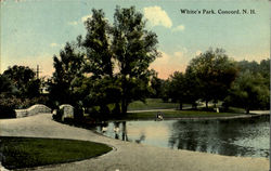 White's Park Postcard