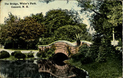 The Bridge, White's Park Postcard