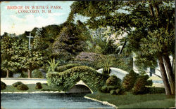 Bridge In White's Park Concord, NH Postcard 