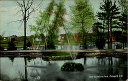 View In White's Park Postcard