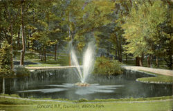 Fountian, White's Park Postcard