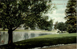 White's Park Postcard