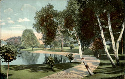 Scene In White's Park Lower Pond Postcard