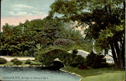 Bridge In White's Park Postcard
