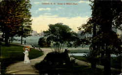 Scene In White's Park Concord, NH Postcard 