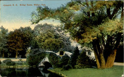 Bridge Scene, White's Park Postcard