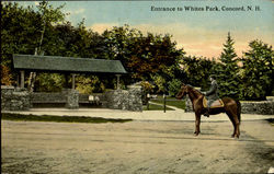 Entrance To Whites Park Postcard