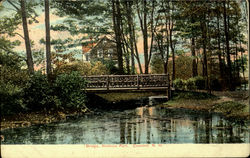 Bridge, Robbins Park Postcard