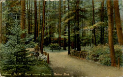 Road Toward Pavilion, Rollins Park Postcard