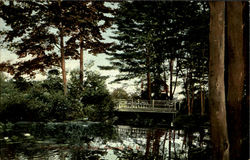 Pond Postcard