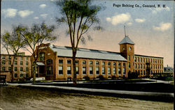 Page Belting Co. Postcard