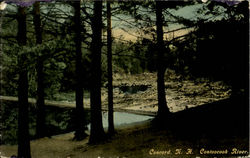 Contoocook River Concord, NH Postcard Postcard