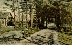 Lover's Lane, St. Paul's School Postcard