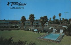 TraveLodge Sacramento Pool & Palm Trees Postcard