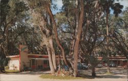 Town-Se-N-Da Motor Court, Marineland Start Route No. 2, Box 144 Postcard