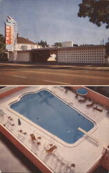 Downtown Motel, Heated Pool, St. Petersburg, FL Postcard