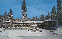 Dragon Cove Motel Postcard