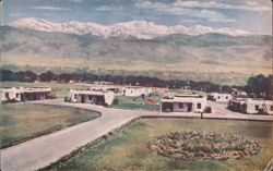 Boggio's Mount Crest Apartments, Lakewood, Colorado Postcard