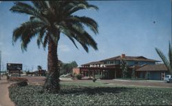 Rick's Rancho Santa Maria Hotel, Palm Tree Postcard