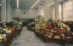 Santa Rosa Flower Show Postcard