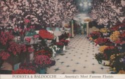Podesta & Baldocchi Florists, America's Most Famous Postcard