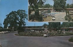 Flagstone Manor Motel - Pool, Grounds - Stockton, CA Postcard