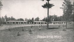 Arbor Vitae Motel - Woodruff, WI Postcard