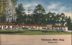 Tallahassee Motor Lodge, US 90 & 20, Tallahassee FL Postcard