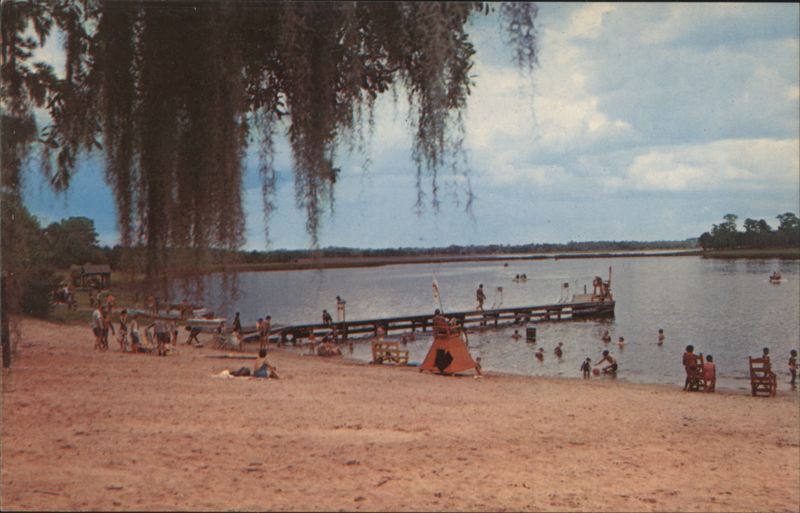 White Sandy Beach, Gold Head Branch State Park Keystone Heights Florida