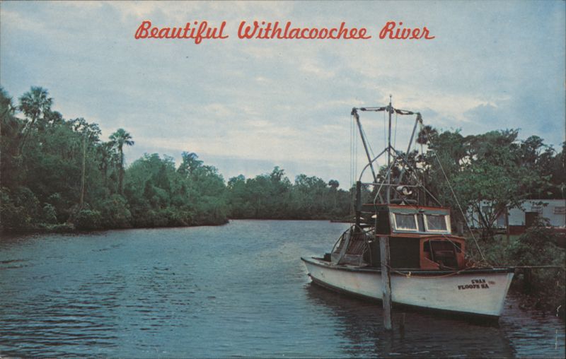 Beautiful Withlacoochee River, Inglis & Yankee Town Florida