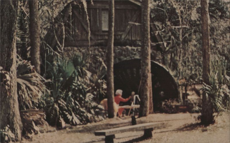 Juniper Springs Mill & Water Wheel, Ocala National Forest Florida