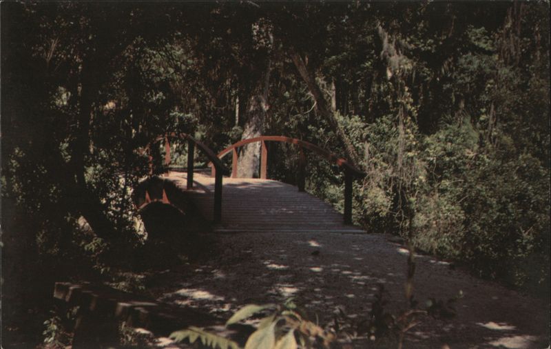 Juniper Springs Recreation Area Bridge, Ocala, FL Florida