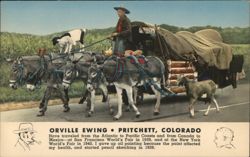 Orville Ewing Pritchett, Colorado, Transcontinental Traveler Postcard