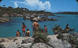 Laguna Xel-Ha, Quintana Roo, México Postcard