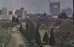 Salisbury City Skyline, Clock Tower, Jacaranda Trees Postcard