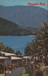 Hanalei Bay, Kauai, Hawaii Postcard