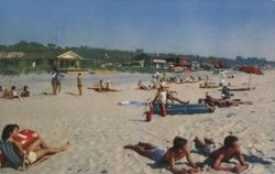 Beach at Del Mar near The Inn Rancho Santa Fe, California Postcard