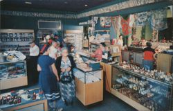 Covey's Little America Travel Center Store Interior Postcard