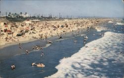 Crowded Beach, Surfing in the Blue Pacific, Summer Afternoon Postcard