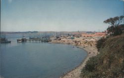 Fishing Boats on beautiful Bodega Bay Postcard
